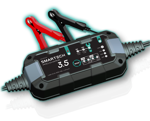 Intelligent charger for 6V and 12V vehicle batteries